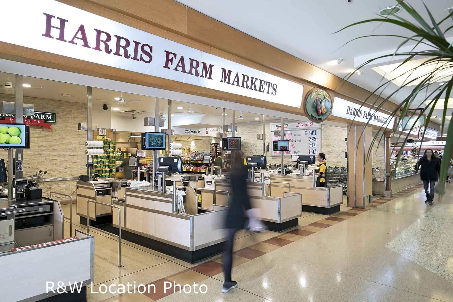 29B/3 Darling Point Road Darling Point 29B/3 Darling Point Road Darling Point