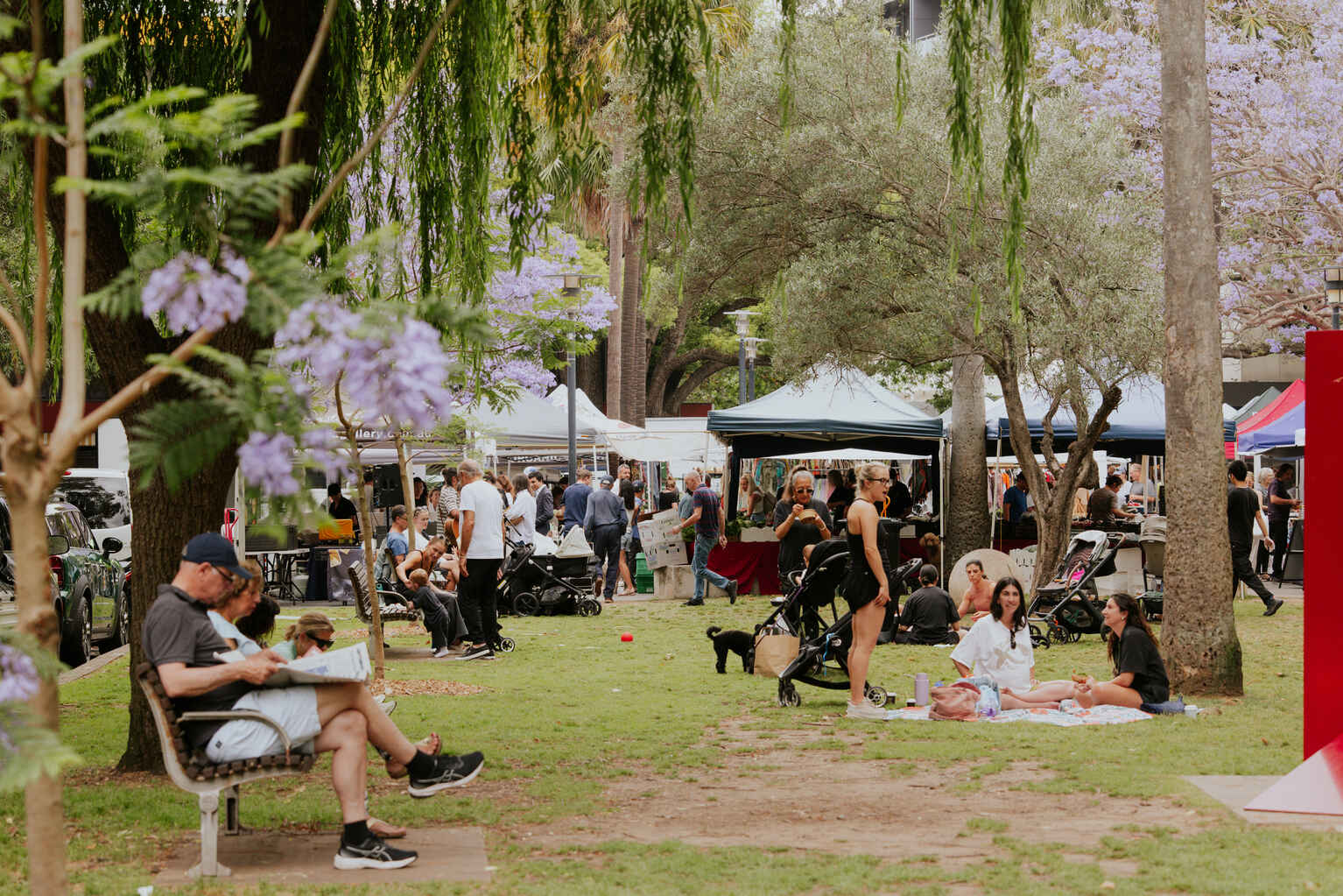 2/22 Greenoaks Avenue  Darling Point